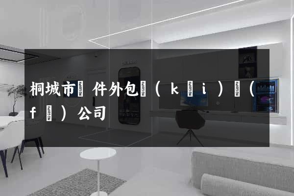 桐城市軟件外包開(kāi)發(fā)公司