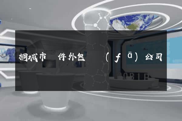 桐城市軟件外包開發(fā)公司