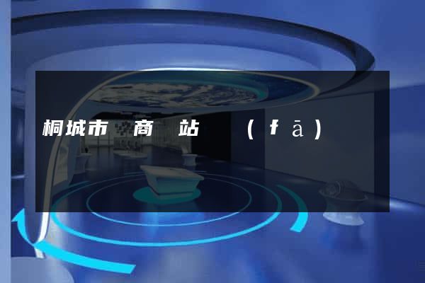 桐城市電商網站開發(fā)
