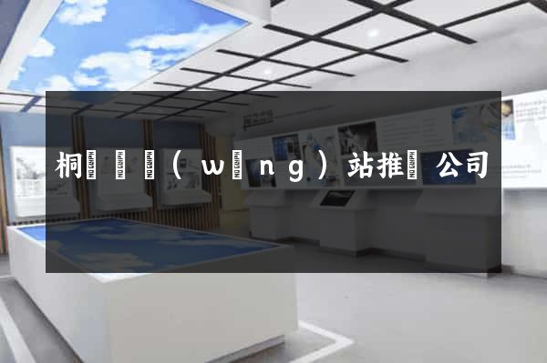 桐廬縣網(wǎng)站推廣公司