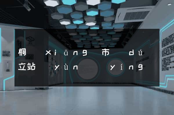 桐鄉(xiāng)市獨(dú)立站運(yùn)營(yíng)