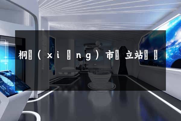 桐鄉(xiāng)市獨立站運營