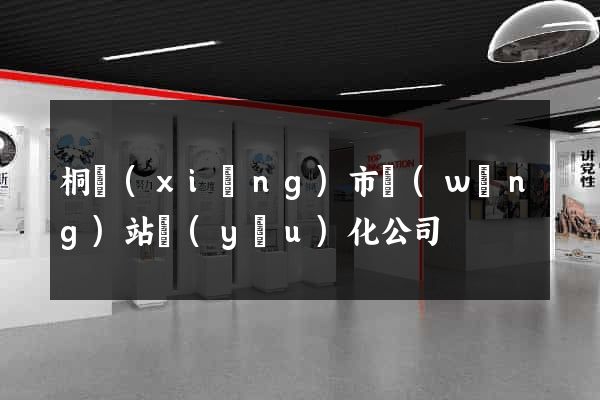 桐鄉(xiāng)市網(wǎng)站優(yōu)化公司