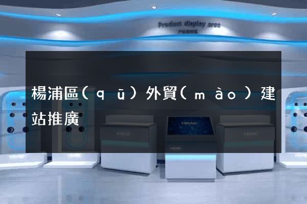 楊浦區(qū)外貿(mào)建站推廣