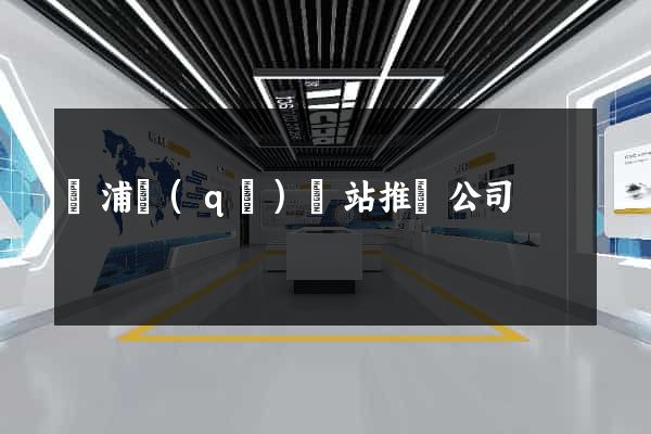 楊浦區(qū)網站推廣公司