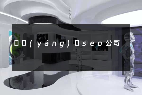 樅陽(yáng)縣seo公司