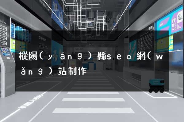 樅陽(yáng)縣seo網(wǎng)站制作