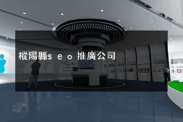 樅陽縣seo推廣公司