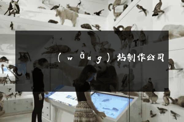 樅陽縣網(wǎng)站制作公司
