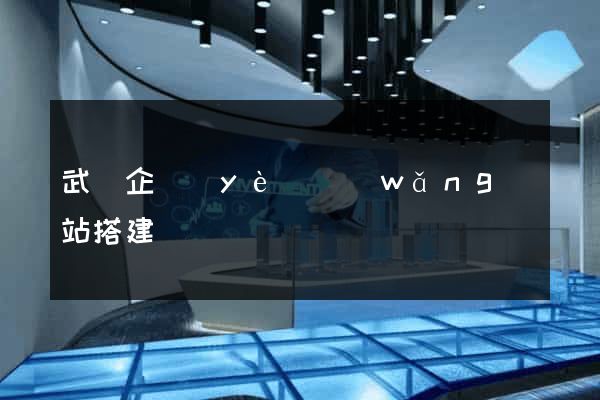 武漢企業(yè)網(wǎng)站搭建
