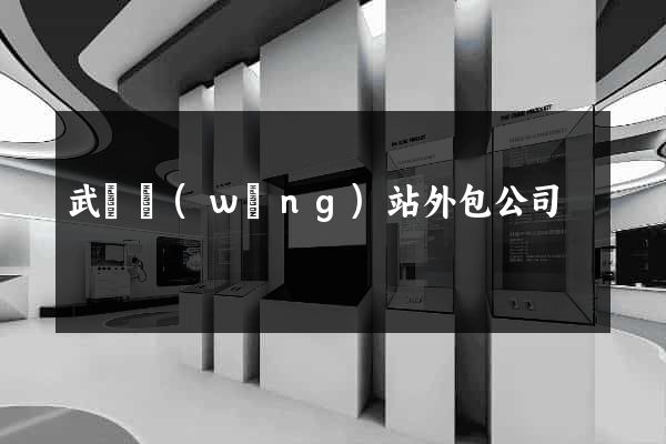 武漢網(wǎng)站外包公司