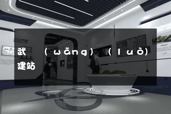 武漢網(wǎng)絡(luò)建站