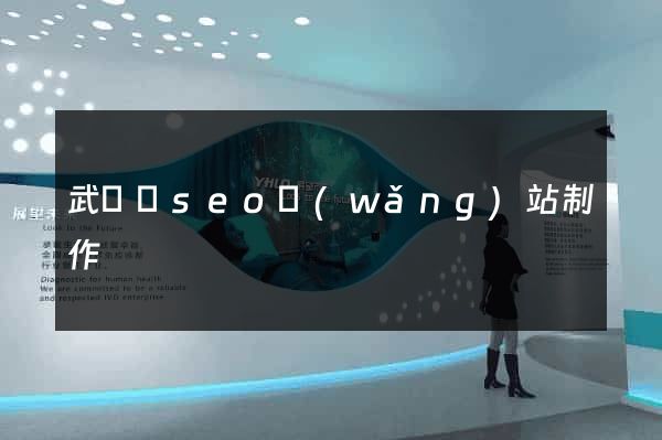 武義縣seo網(wǎng)站制作