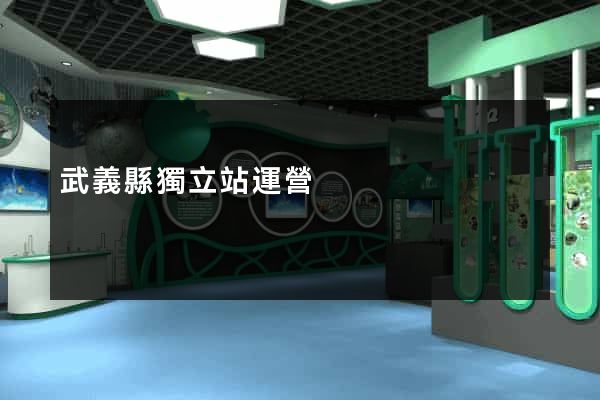 武義縣獨立站運營