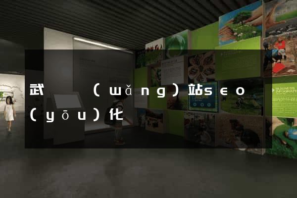武義縣網(wǎng)站seo優(yōu)化