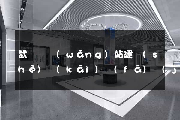 武義縣網(wǎng)站建設(shè)開(kāi)發(fā)價(jià)格