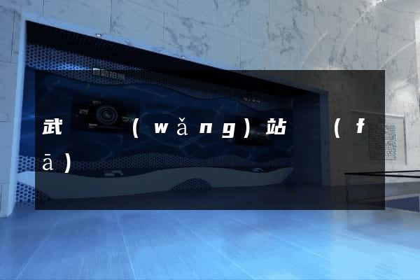 武義縣網(wǎng)站開發(fā)