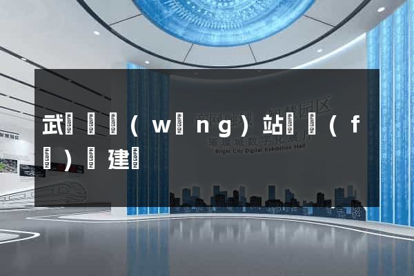 武義縣網(wǎng)站開發(fā)與建設
