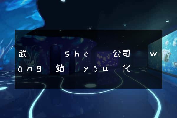 武義縣設(shè)計公司網(wǎng)站優(yōu)化