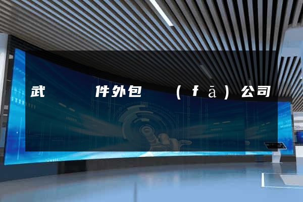 武義縣軟件外包開發(fā)公司