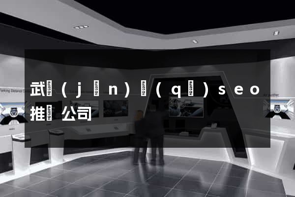 武進(jìn)區(qū)seo推廣公司