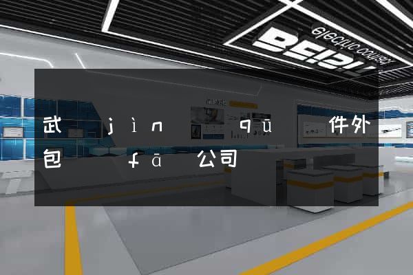 武進(jìn)區(qū)軟件外包開發(fā)公司