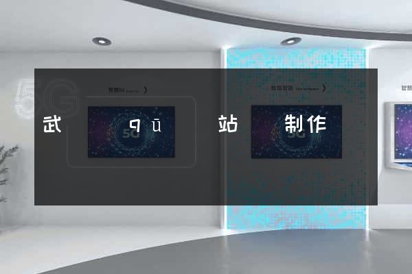 武進區(qū)網站設計制作