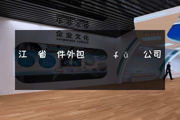 江蘇省軟件外包開發(fā)公司