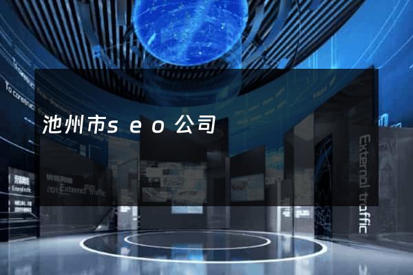 池州市seo公司