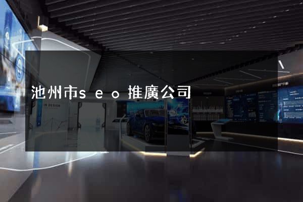 池州市seo推廣公司