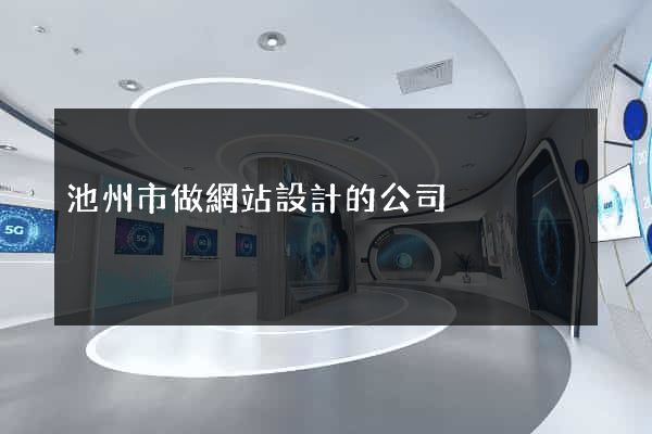 池州市做網站設計的公司