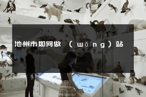 池州市如何做網(wǎng)站