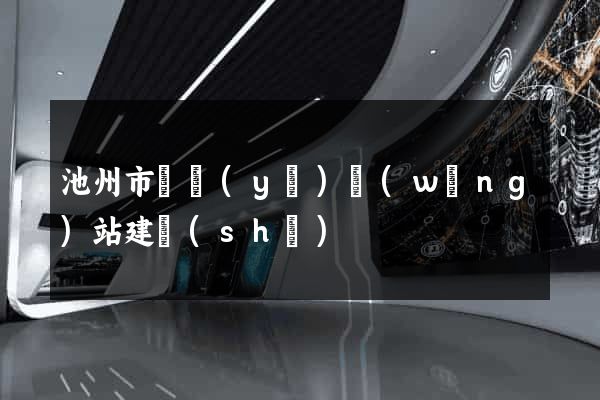 池州市專業(yè)網(wǎng)站建設(shè)