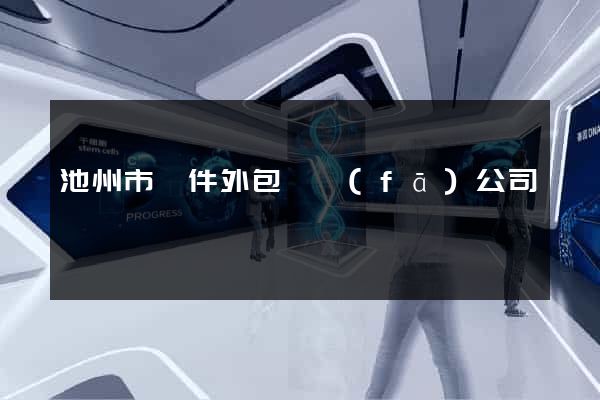 池州市軟件外包開發(fā)公司