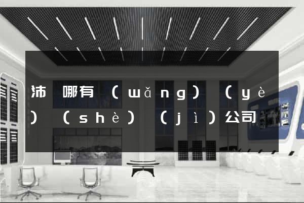 沛縣哪有網(wǎng)頁(yè)設(shè)計(jì)公司