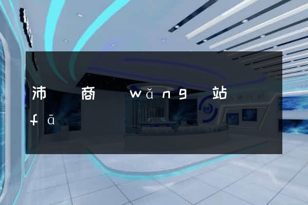 沛縣電商網(wǎng)站開發(fā)