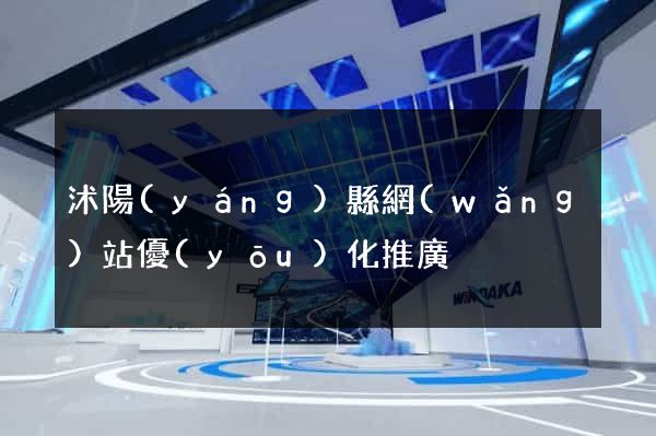 沭陽(yáng)縣網(wǎng)站優(yōu)化推廣