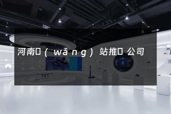 河南網(wǎng)站推廣公司