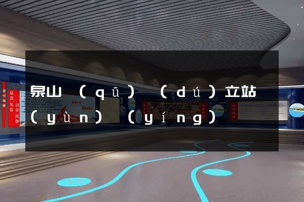 泉山區(qū)獨(dú)立站運(yùn)營(yíng)