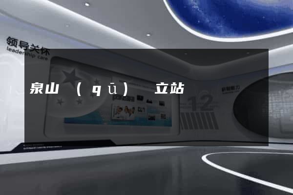 泉山區(qū)獨立站運營