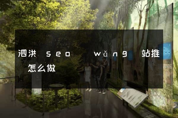 泗洪縣seo網(wǎng)站推廣怎么做