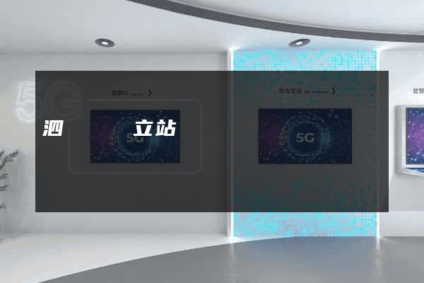 泗陽縣獨立站運營