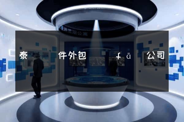 泰順縣軟件外包開發(fā)公司