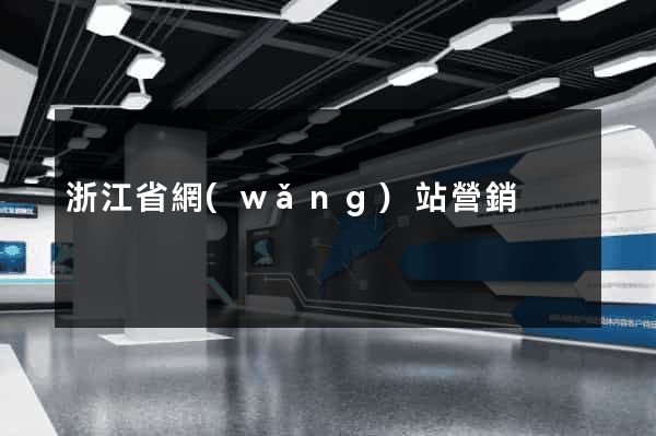浙江省網(wǎng)站營銷