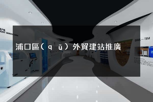 浦口區(qū)外貿建站推廣