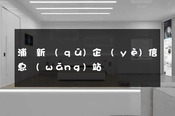 浦東新區(qū)企業(yè)信息網(wǎng)站