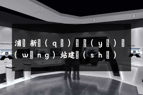 浦東新區(qū)專業(yè)網(wǎng)站建設(shè)