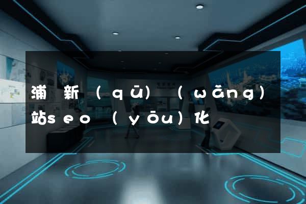 浦東新區(qū)網(wǎng)站seo優(yōu)化