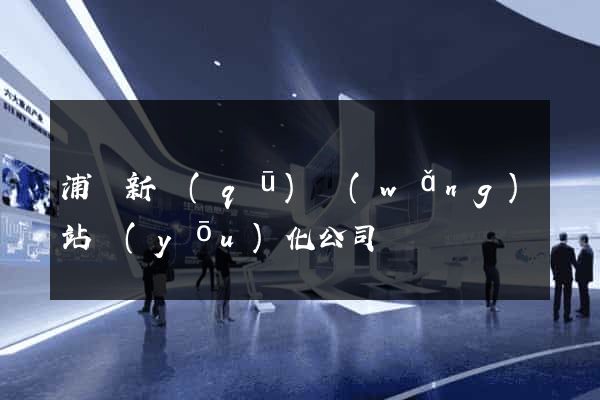 浦東新區(qū)網(wǎng)站優(yōu)化公司