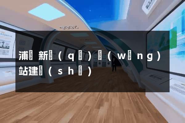 浦東新區(qū)網(wǎng)站建設(shè)